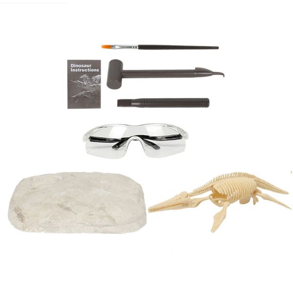 Olive Tree-Dinosaur Fossil Archaeology Paleontology Educational-Pliosaurus