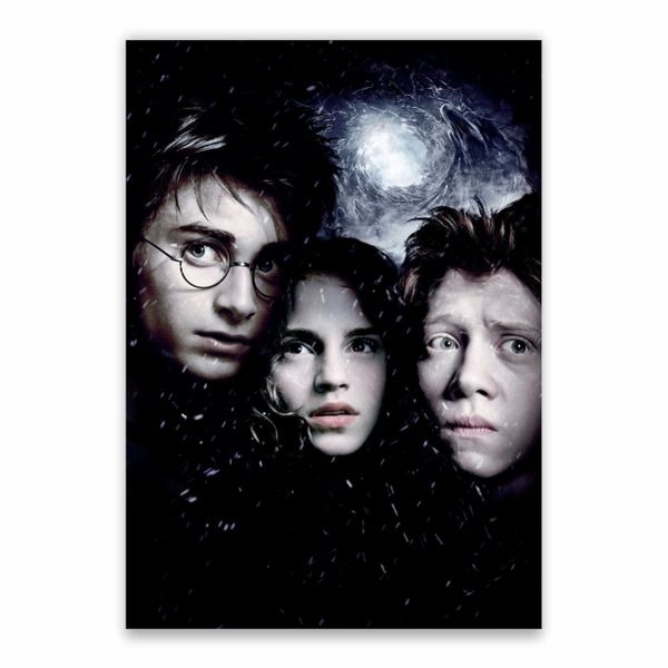 Harry, Ron And Hermoine Snowing Poster - A1
