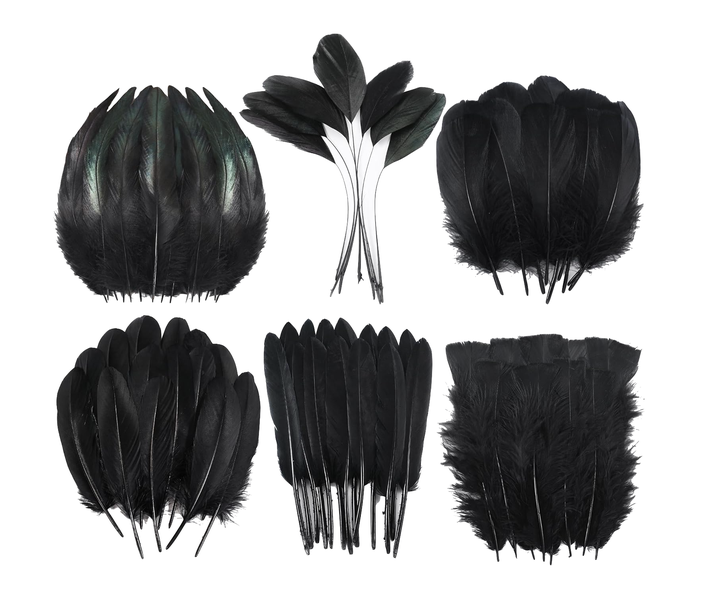Craft DIY 180pcs Black Feather Assortment For Decorations (8- 18cm)