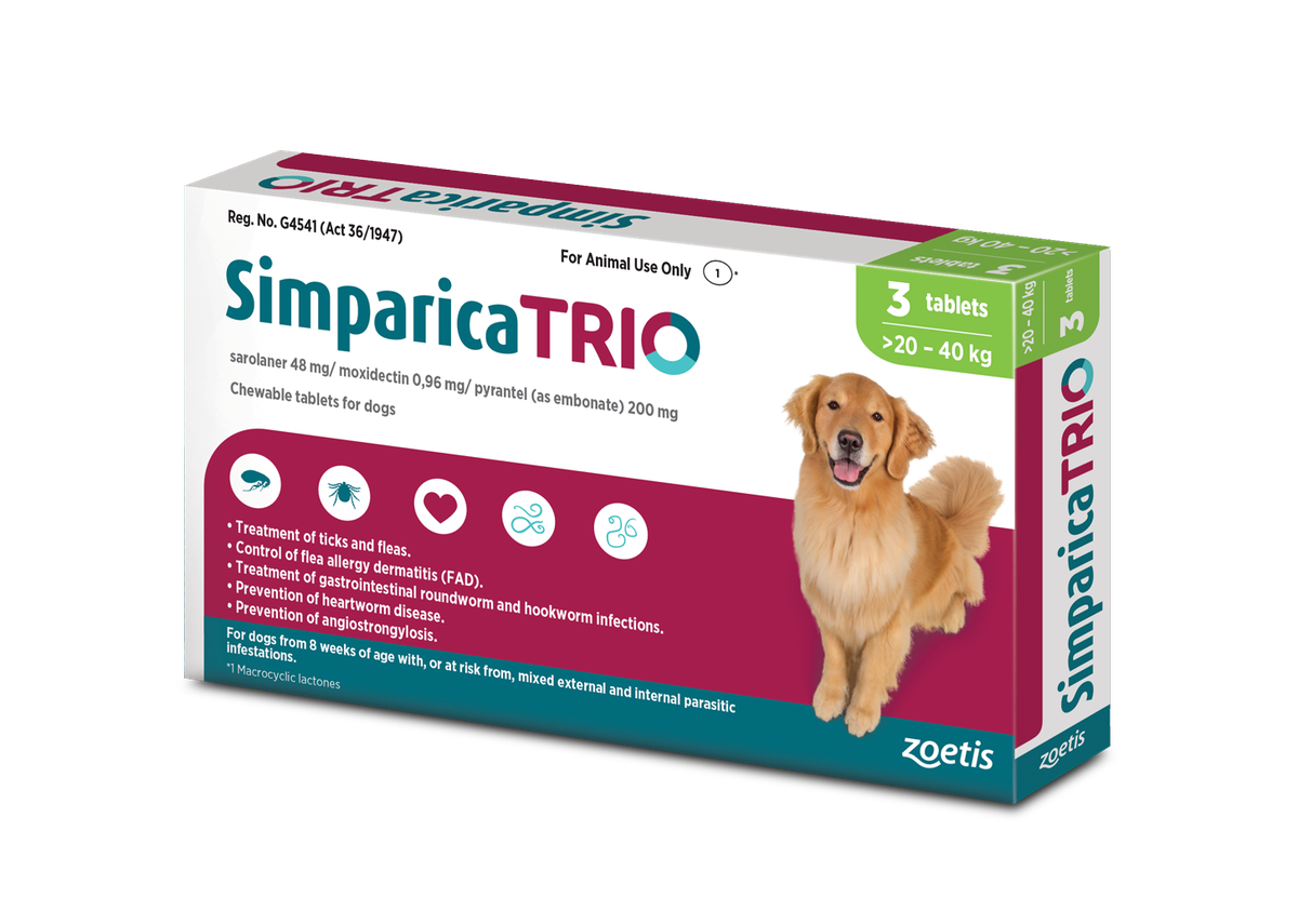 Cold Weather Kills Fleas