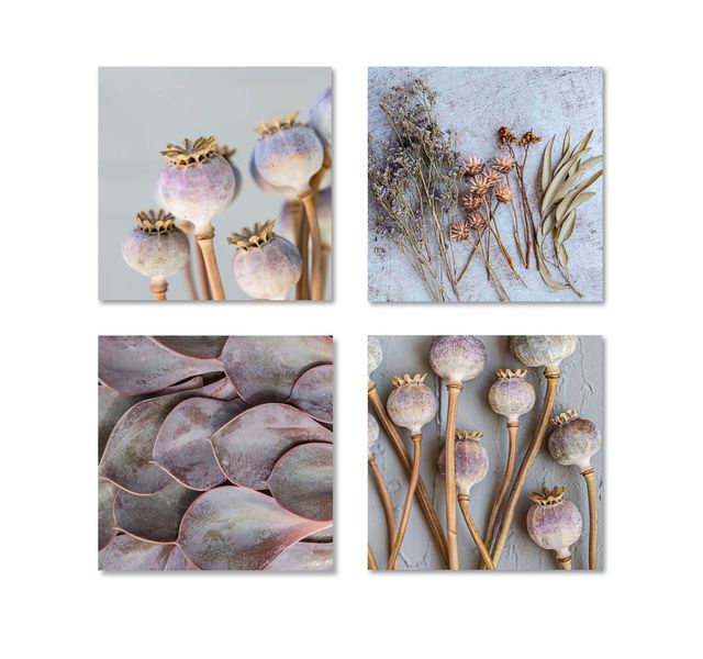 CapeArt Birch Block 4 Piece Coastal