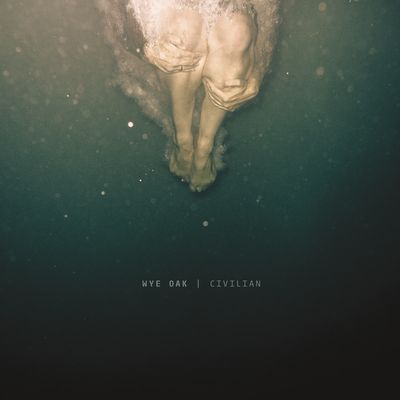 Civilian (Vinyl / 12" Album)