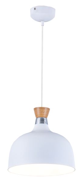 220mm Dome Shaped Metal Pendant with Wooden Accent