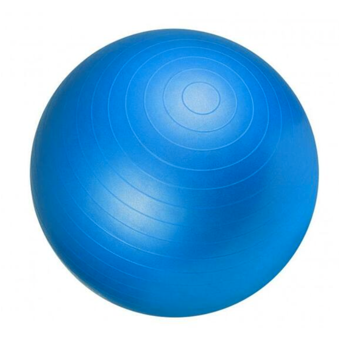 Avalanche Fitness - Anti-Burst 75cm Gym & Yoga Ball | Shop Today. Get ...