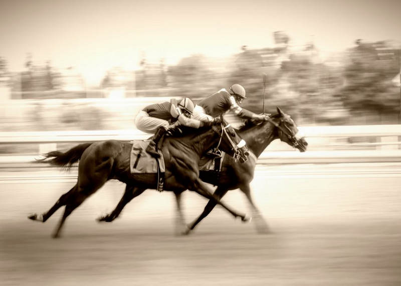 Canvas wall art - Racing