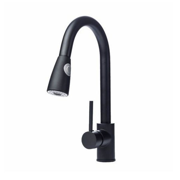 Trendy Taps Blackened Brass Extendable Kitchen Mixer + Pressure Adjustment