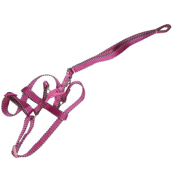 Racing Stripe Adjustable Pet Leash With Harness 60cm - TP180710020