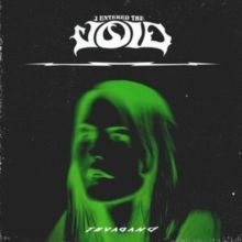 I Entered the Void (Vinyl / 12" Album)