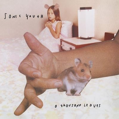A Thousand Leaves (Vinyl / 12" Album)