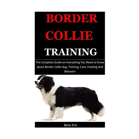 border collie training guide
