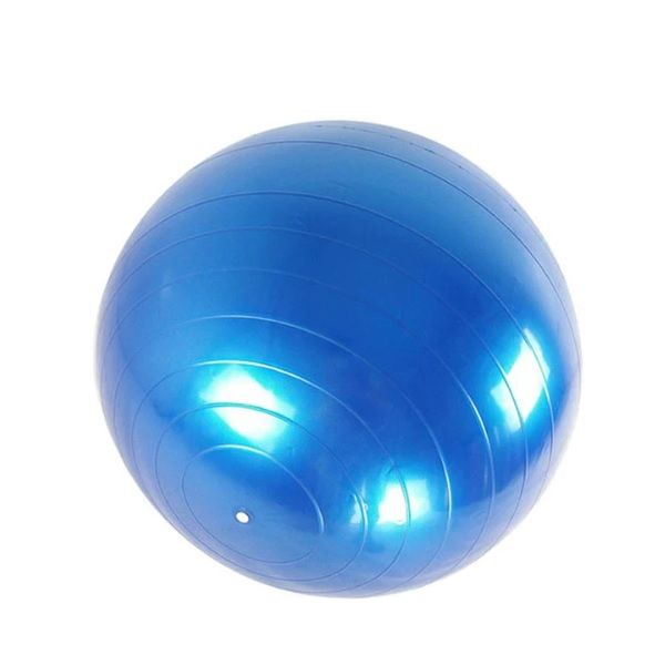 55cm Exercise Ball Gym Class Fitness