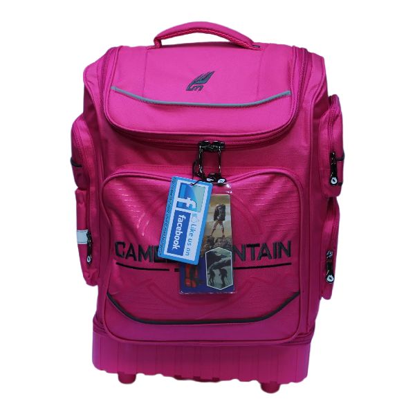 2 Wheel Trolley Backpack with Telescopic Handle and Hard Base For School