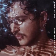 The Shimmer (CD / Album)