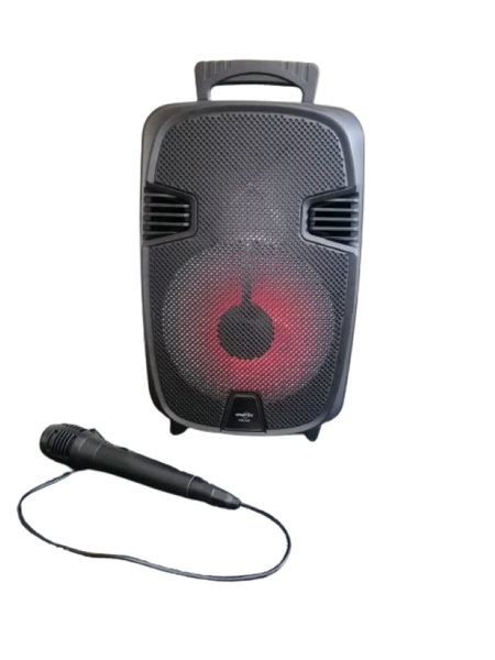 Portable Karaoke Bluetooth Speaker