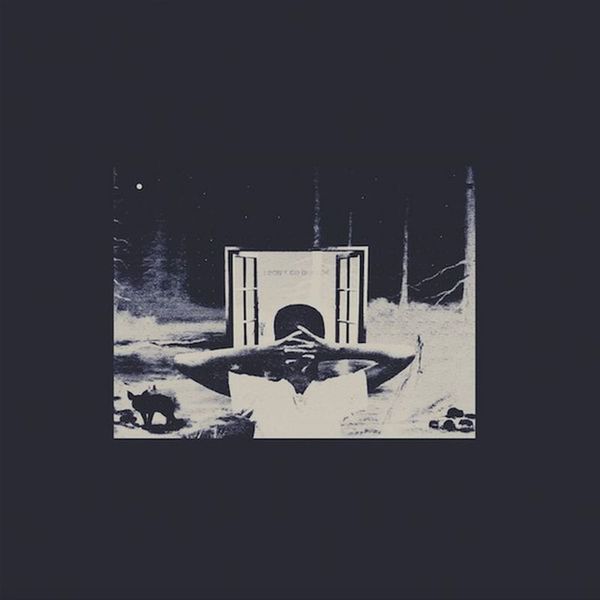 Earl Sweatshirt - I Don't Like xxxx, I Don't Go Outside (Vinyl Album)