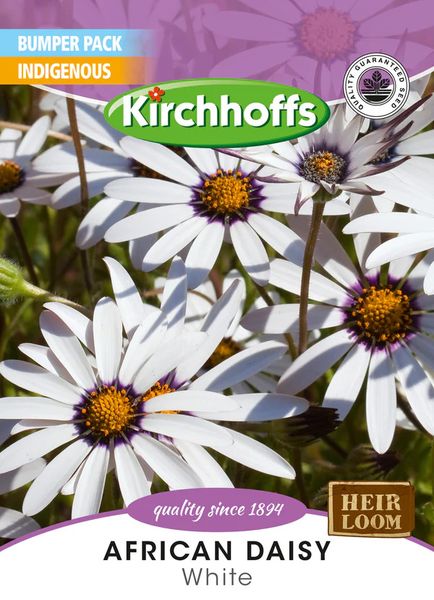 Kirchhoffs African Daisy Silverhills White Large Bumper Pack