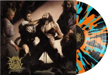 Animus (Vinyl / 12" Album)