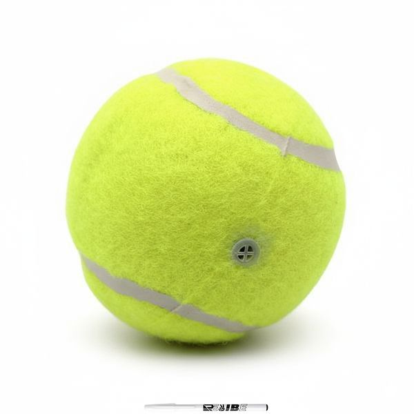 Dog Pet Supplies Squeaky Tennis Ball Toys for Dogs with Revibe Pen