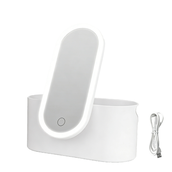 LED Makeup Mirror with Lighted Storage Case