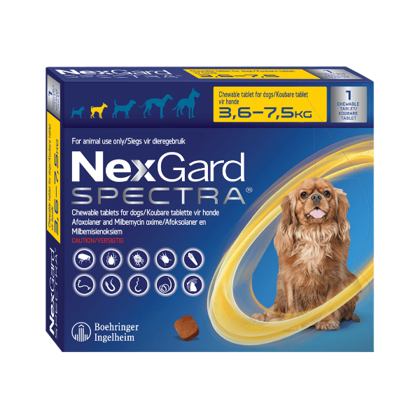 Nexgard - Spectra For Dogs