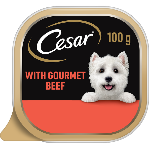 Cesar Adult Wet Dog Food with Beef 100g x 24