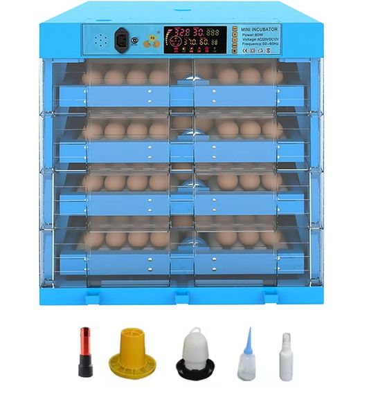 Blue 256 Egg Incubator -Dual Power