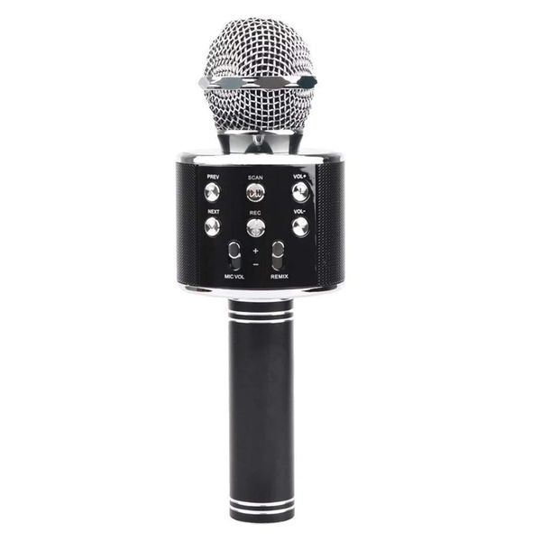 Karaoke Microphone With Speaker and Echo, Portable Long-Lasting for Party