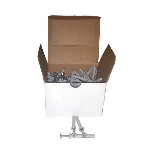 50 x 6mm x 40mm Grade 304 Stainless Steel Nail in Anchors/Wall Plugs