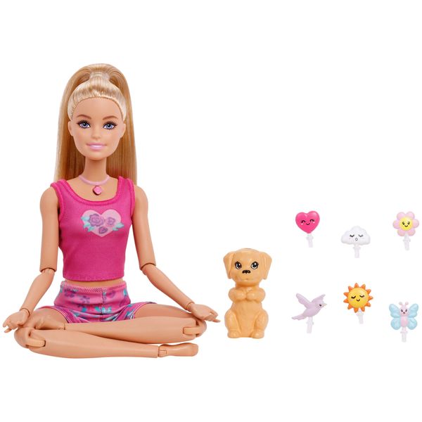 Barbie Mindful Moves Doll And Accessories