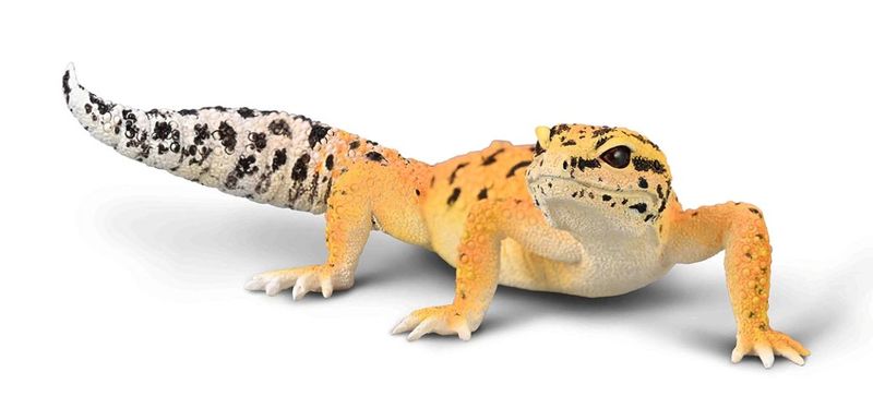 Little Wonders LRG Leopard Gecko