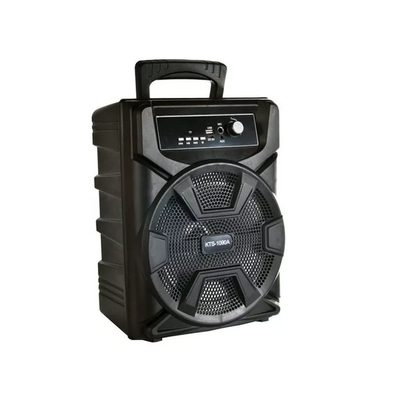 KTS 8 Inch Karaoke Dual Speaker Wireless Stereo with Mic and Remote