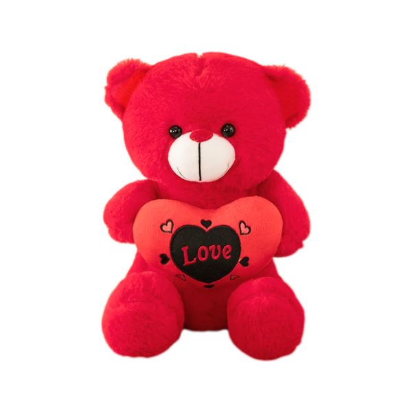 Teddy Bear Plush Toy with Heat - Children's Gift / Valentines Gift - 25cm