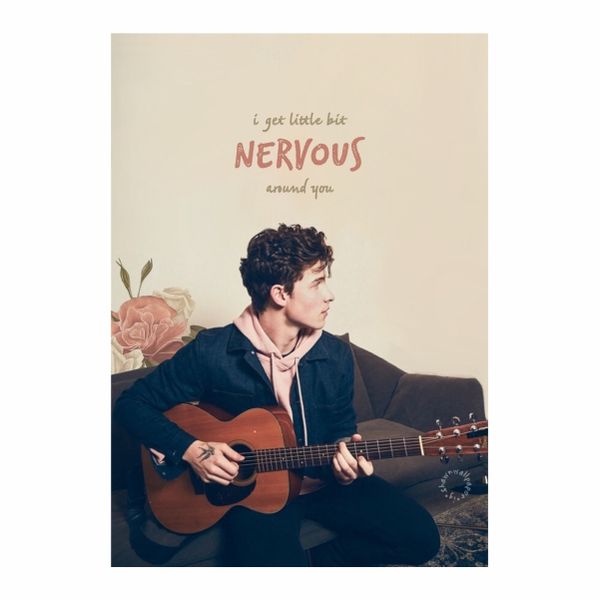 Shawn Mendes 001 - A1 Poster