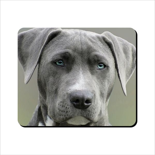Mouse Pad - Short Coat Dog
