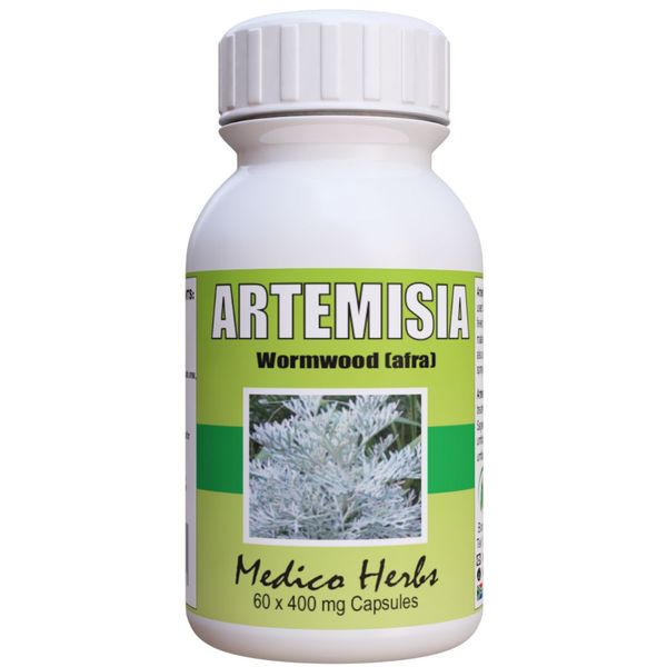 Artemisia Afra (60 x 400mg Capsules)