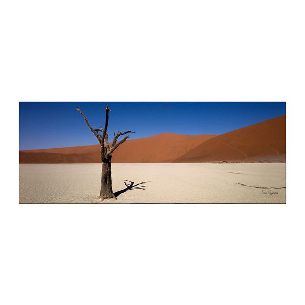 deadvlei sossusvlei trees desert namibia Large Desk Pad By Fanie Heymans