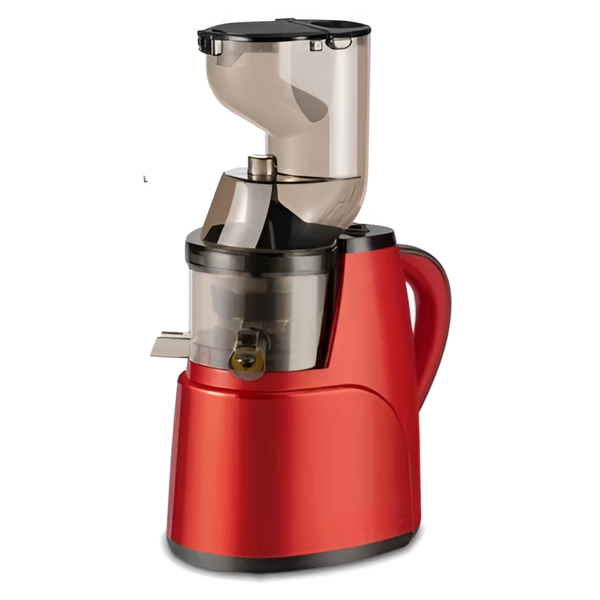 800W Slow Juicer - Electric Cold Press Juicer