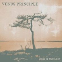 Stand in Your Light (Vinyl / 12" Album)