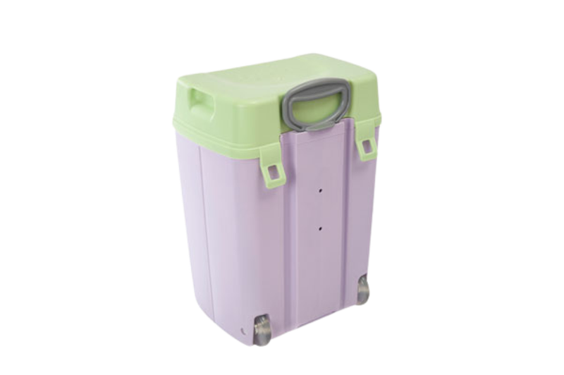 Todii School Bag -Light Green Lid with purple Body