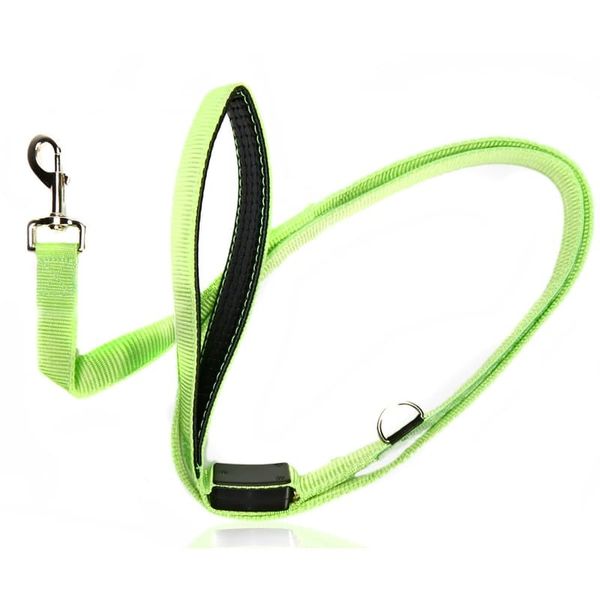 LED (Light Up) Dog Leash USB Rechargeable - Green