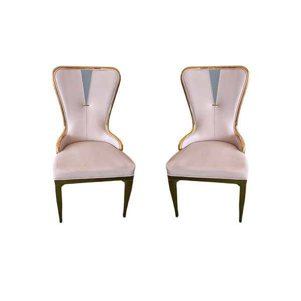Set Of 2 Multi-Functional Dining Chair with Stainless Steel Legs HZ6632