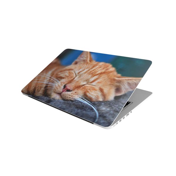 Laptop Skin/Sticker - Sleeping Ginger Cat