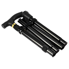 Folding Cane - Trekking Pole/Walking Stick | Shop Today. Get it