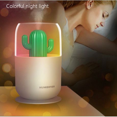 Qric Humidifier Double Spray Cactus Humidator Large Capacity USB Home  Desktop Mini Air Humidifier (Color : Green): Buy Online at Best Price in  UAE 