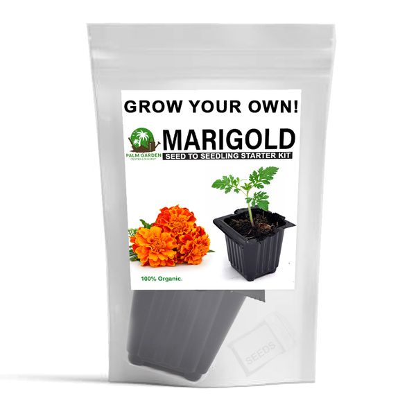 Palm Garden Grow Your Own Marigold Plant - Seed to Seedling Kit
