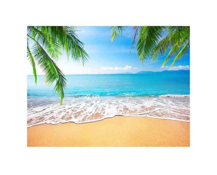 Beach Theme image