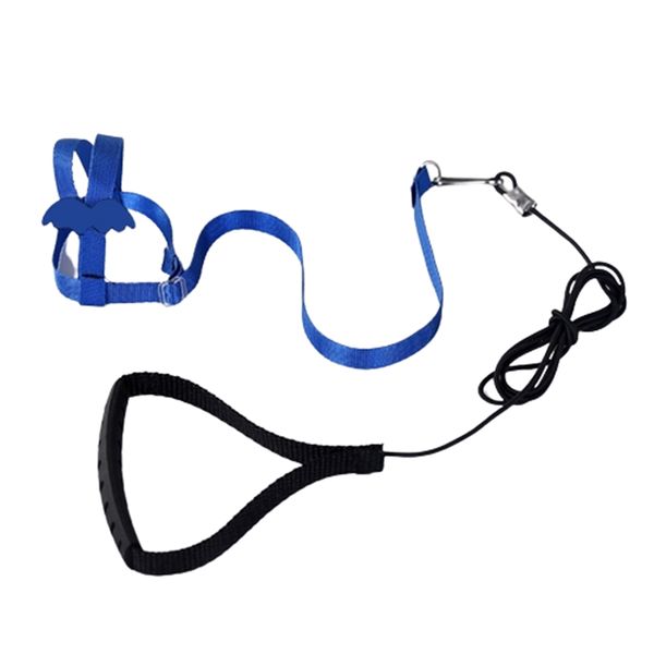 Bird Adjustable Harness and Leash Set Outdoor/Indoor Flying Training Rope