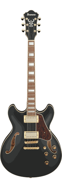 Ibanez AS73G Hollow Body Electric Guitar