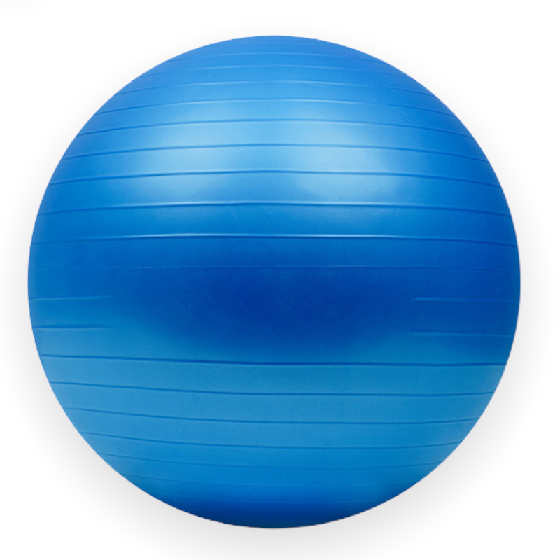 Avalanche Fitness - 75cm Anti-burst Exercise Gym Ball | Shop Today. Get ...