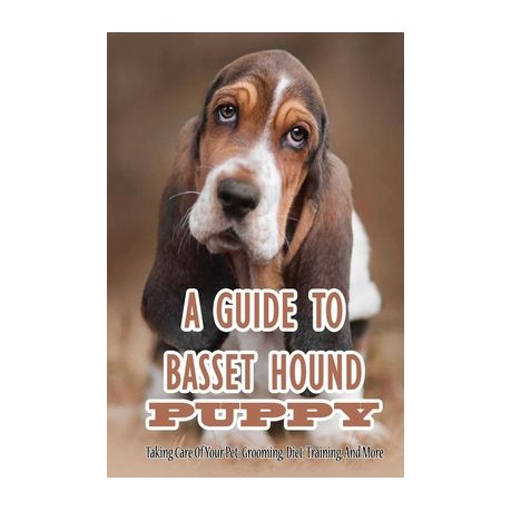 how do you train a basset hound puppy